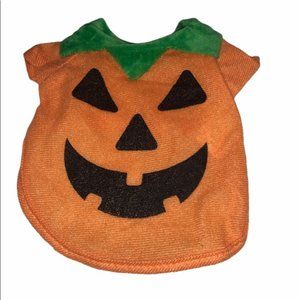 Halloween pumpkin cat costume